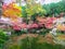 Beautiful and multi colors of maple trees