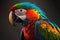 Beautiful multicolored large cockatoo parrot on white with powerful beak