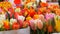 Beautiful multicolored variety of tulips in a large bouquet on flower market of Amsterdam, the Netherlands. Tulip symbol