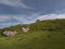 Beautiful Murlough Bay in Northern Ireland