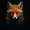 Beautiful muzzle of a fox on a black background. Stylish animal head