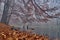 A beautiful mysterious view of Duszatynskie Lakes - two landslide lakes, near the village of Duszatyn, one of the major natural