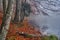 A beautiful mysterious view of Duszatynskie Lakes - two landslide lakes, near the village of Duszatyn, one of the major natural