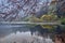 A beautiful mysterious view of Duszatynskie Lakes - two landslide lakes, near the village of Duszatyn, one of the major natural