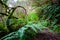 Beautiful mystical forest in a summer morning.