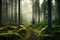 Beautiful mystical forest and sunbeam - Fantasy Wood
