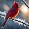 Beautiful mythical red bird in snow highly detailed photograph