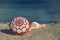 Beautiful naked female lies on the beach under a red umbrella. Girl on the sand under the umbrella