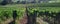 Beautiful Napa County Vineyard