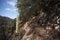 Beautiful narrow hike path at Santa Anita Canyon, Angeles National Forest, San Gabriel Mountain Range near Los Angeles