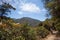 Beautiful narrow hike path at Santa Anita Canyon, Angeles National Forest, San Gabriel Mountain Range near Los Angeles