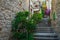 Beautiful narrow street with flowers and green plants, Hvar, Croatia