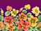 Beautiful nasturtium flowers with on purple gradient background. Seamless floral pattern. Watercolor painting.