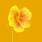 Beautiful nasturtium. Yellow and orange bright flower. Botanical realistic art. Hand drawn detailed vector illustration.