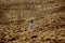 beautiful native indian american woman holding pikestaff and walking in mountains in evening