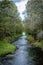 A beautiful natural creek in suburban area of Vaduz, the capital city of Liechtenstein