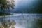 Beautiful natural landscape with fog floating on the lake surface in the sunrise at Pang-ung