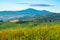 Beautiful natural landscape of green Hilly Tuscan Field in summ