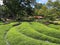 Beautiful natural landscape in the park in summer, France, Tours