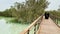 A beautiful natural mangrove park in Abu Dhabi in The United Arab Emirates