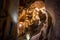 Beautiful natural rock formations - stalactite, stalagmite and stalactone in the Bacho Kiro Cave in Bulgaria