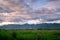 Beautiful natural scenery of Lalu Wetland in Lhasa, Tibet.