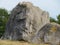 Beautiful natural stone with a lion`s face or something like that without being a sculpture