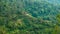 beautiful natural views, mountains, green trees and blue skies in spring