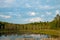 Beautiful natural wilderness wetland scene in spring in northern Minnesota