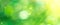Beautiful nature abstract blurred background. Green bokeh backdrop. Summer or spring background with sun flares