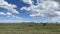 The beautiful nature of Africa. Panorama of the vast expanses of Tanzania. Amazing landscape