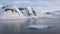 Beautiful nature. Antarctic landscape. Icebergs, glaciers and mountains at sunset. Climate change, global warming