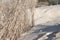 Beautiful nature background with a beige dry plant and sand. Dry, plant, beige, shadow, light