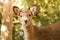 Beautiful nature deer in Nara park. japan travel concept