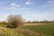 Beautiful nature dirt road with grass and sunny day with blue sky