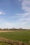 Beautiful nature dirt road with grass and sunny day with blue sky