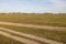 Beautiful nature dirt road with grass and sunny day with blue sky