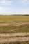 Beautiful nature dirt road with grass and sunny day with blue sky