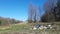 Beautiful nature-field, rural road and spring trees. Against the background of nature, a small mountain of garbage.