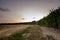 Beautiful nature - golden wheat and green corn field edge