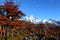 Beautiful nature landscape with Mt. Fitz Roy as seen in Los Glaciares National Park, Patagonia, Argentina