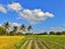 A beautiful nature landscape in a rural India