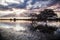 Beautiful nature lanscape. The tree reflection in the water over