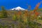 The beautiful nature of Patagonia forests the volcano of the river and lake through the sunset