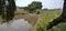 A beautiful nature photograph of sheep grazing next to a dam under a large green Willow tree surrounded by long green grass