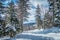 Beautiful nature and scenery around snowshoe ski resort in cass