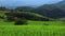 Beautiful nature scenery of Pa Bong Piang rice terraces. Rice fields on a hill with view of mount