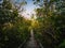 Beautiful nature and stairway to the top of koh lan island pattaya Thailand.