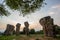 beautiful nature during sunrise time at Stonehenge