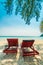 Beautiful nature tropical beach and sea with chair and coconut p